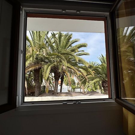 Phoenix Canariensis San Juan de la Rambla 외부 사진