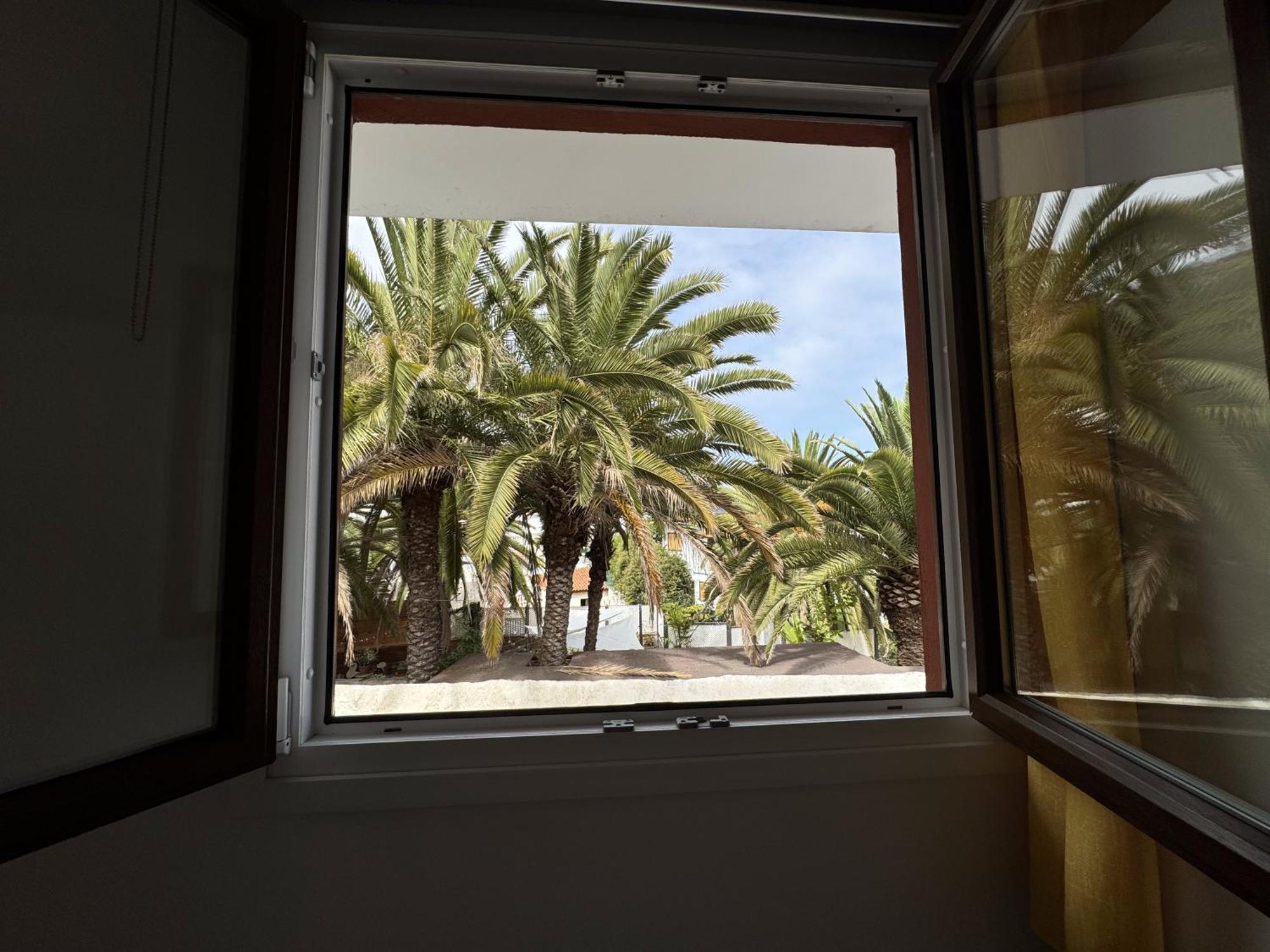 Phoenix Canariensis San Juan de la Rambla 외부 사진