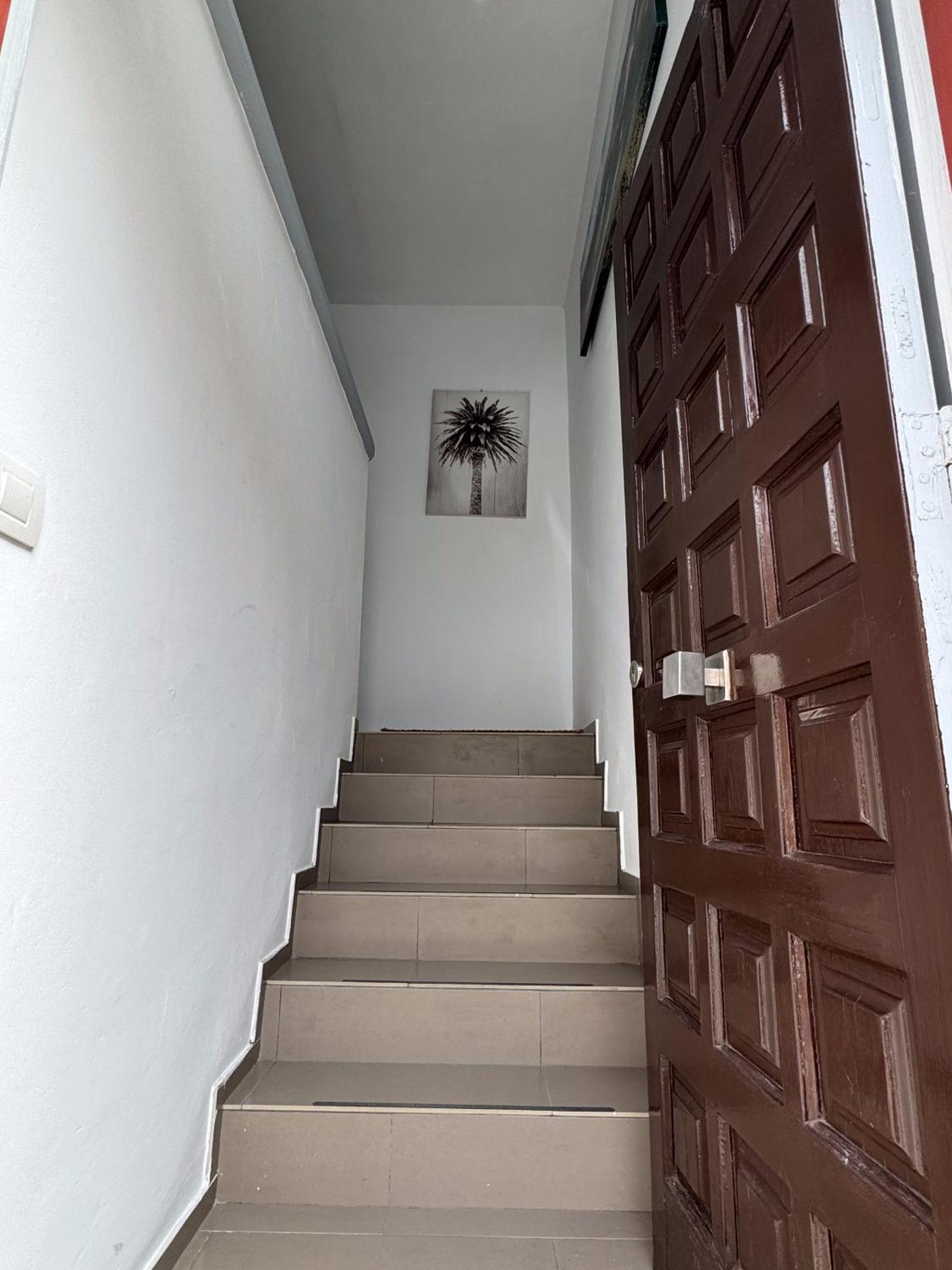Phoenix Canariensis San Juan de la Rambla 외부 사진