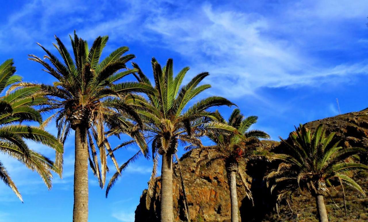 Phoenix Canariensis San Juan de la Rambla 외부 사진